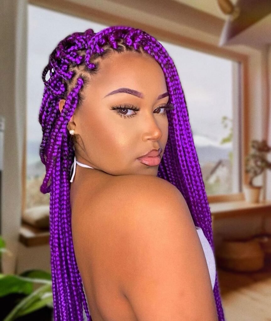 Colorful Braid Hair,Box Braid Hair,Jumbo Braiding Hair  Braided  hairstyles, Colored braids, Colored box braids