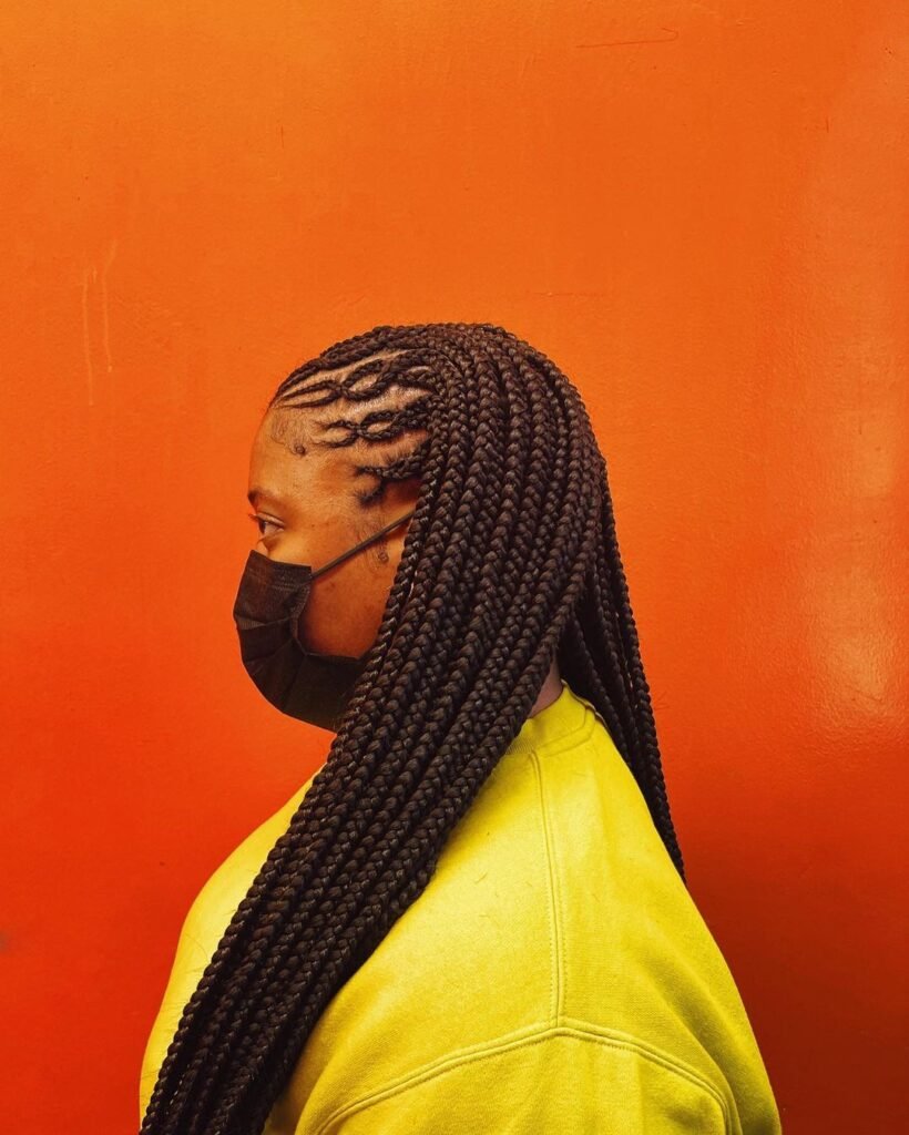 Freestyle Intricate Fulani Braids