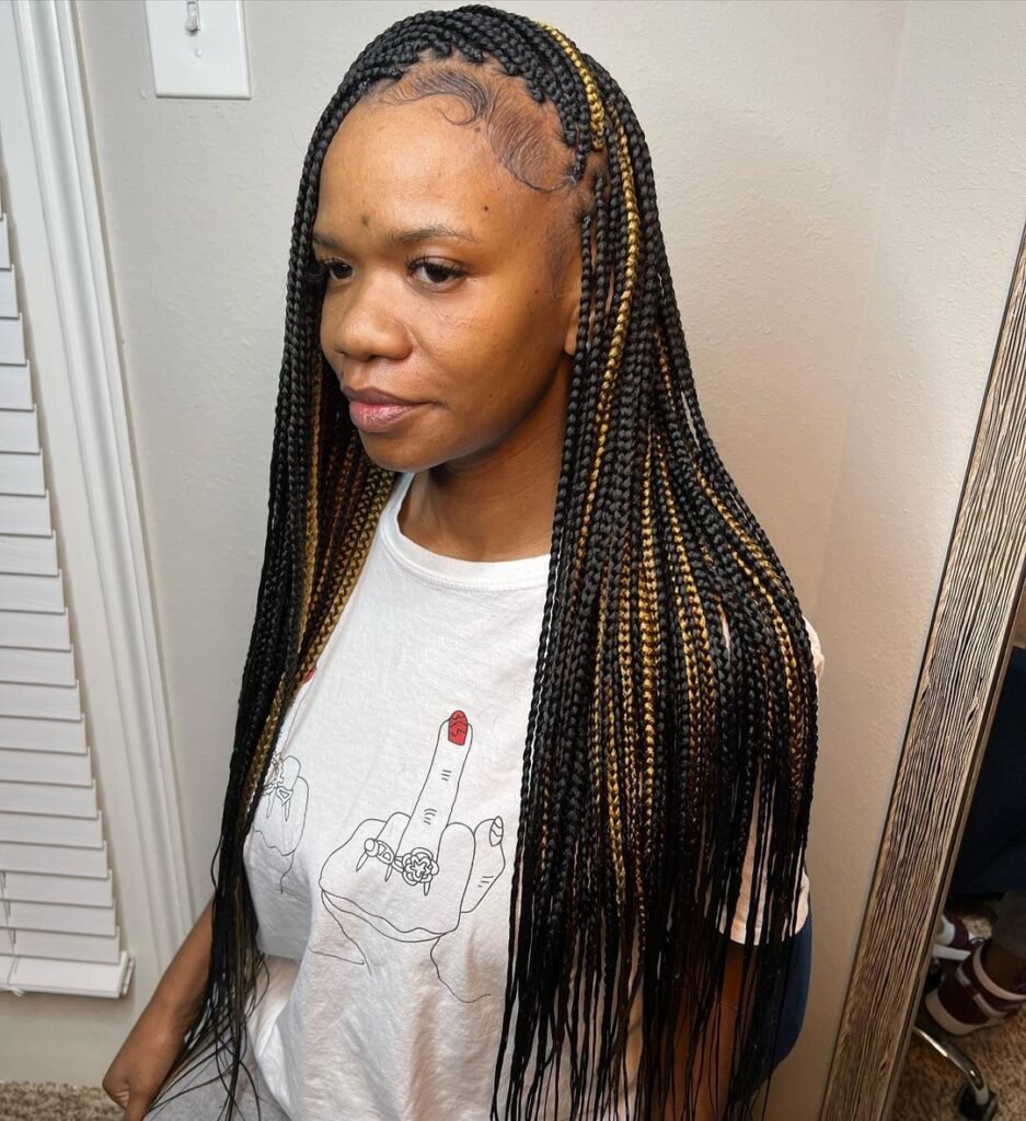 Waist length small box braids