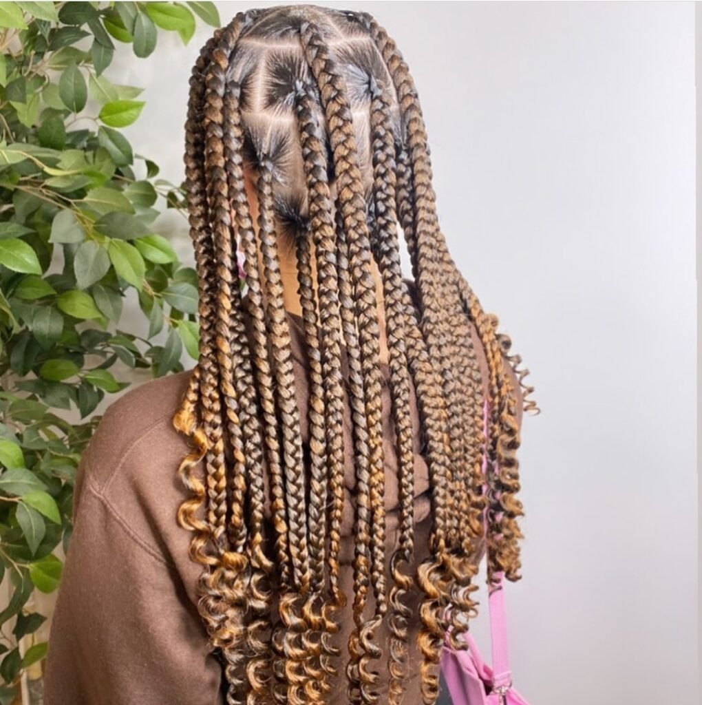 Back Length Jumbo Coi Leray Braid