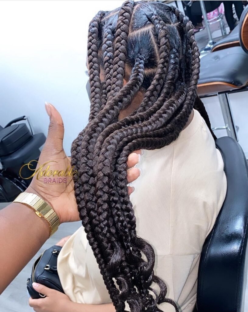Coi Leray Braid with Large Part